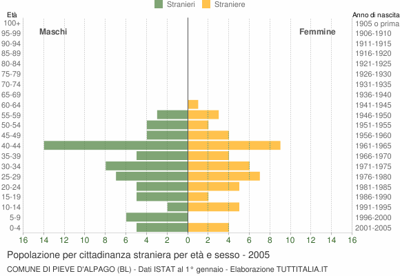 Grafico cittadini stranieri - Pieve d'Alpago 2005