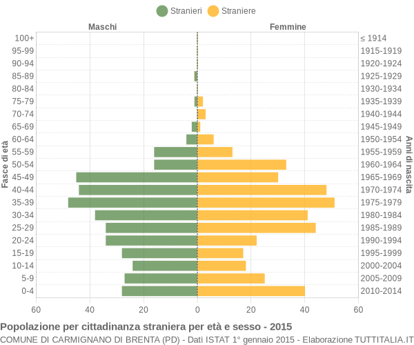 Grafico cittadini stranieri - Carmignano di Brenta 2015