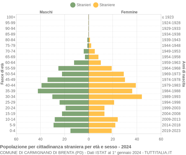 Grafico cittadini stranieri - Carmignano di Brenta 2024