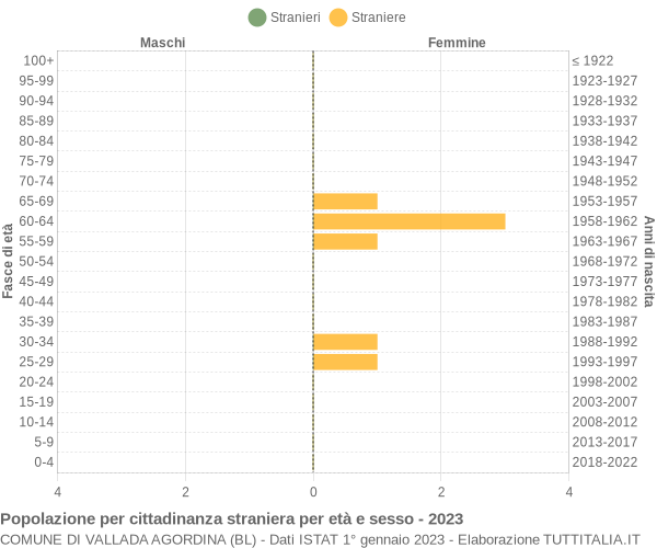 Grafico cittadini stranieri - Vallada Agordina 2023