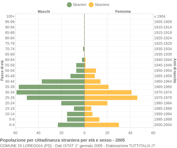 Grafico cittadini stranieri - Loreggia 2005
