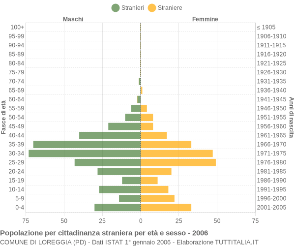 Grafico cittadini stranieri - Loreggia 2006
