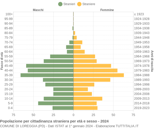 Grafico cittadini stranieri - Loreggia 2024