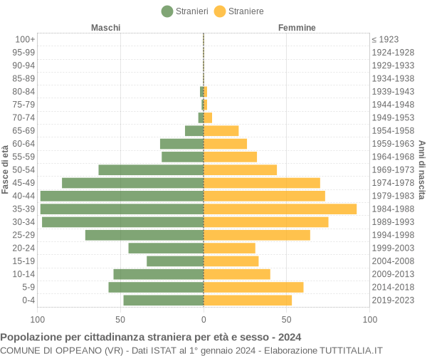 Grafico cittadini stranieri - Oppeano 2024