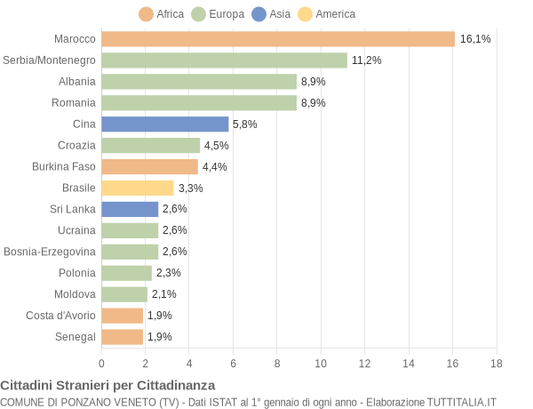 Grafico cittadinanza stranieri - Ponzano Veneto 2005