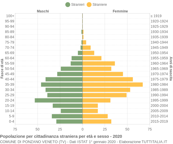 Grafico cittadini stranieri - Ponzano Veneto 2020