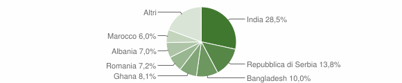 Grafico cittadinanza stranieri - Sarego 2010