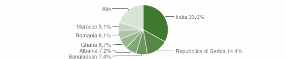 Grafico cittadinanza stranieri - Sarego 2013