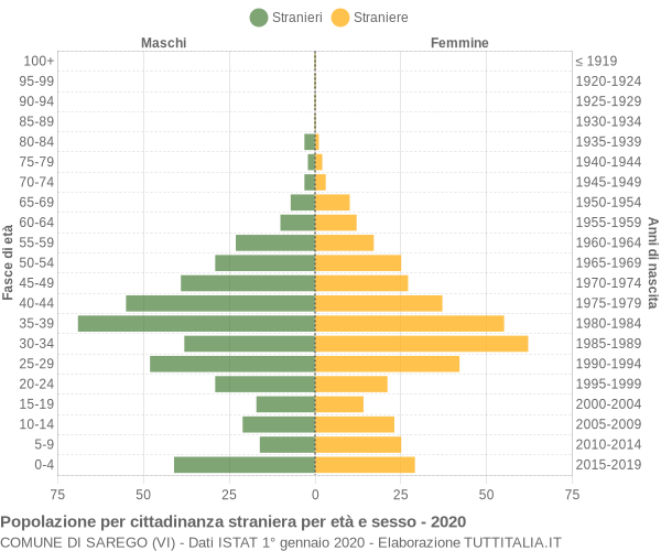 Grafico cittadini stranieri - Sarego 2020