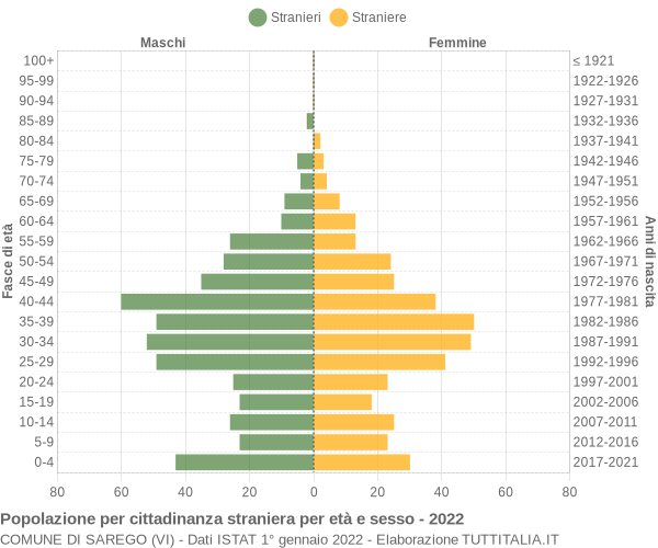 Grafico cittadini stranieri - Sarego 2022