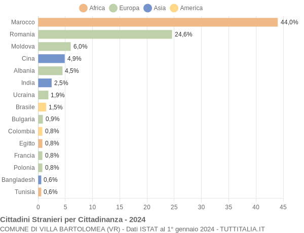 Grafico cittadinanza stranieri - Villa Bartolomea 2024