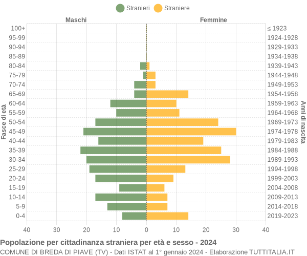 Grafico cittadini stranieri - Breda di Piave 2024