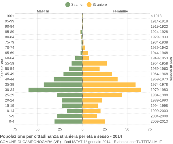 Grafico cittadini stranieri - Camponogara 2014