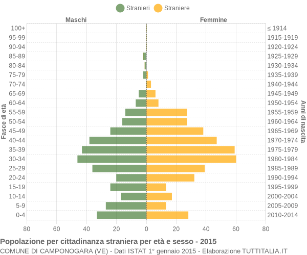 Grafico cittadini stranieri - Camponogara 2015