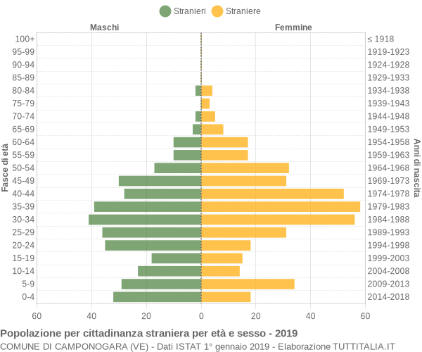 Grafico cittadini stranieri - Camponogara 2019