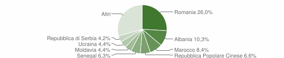 Grafico cittadinanza stranieri - Musile di Piave 2013