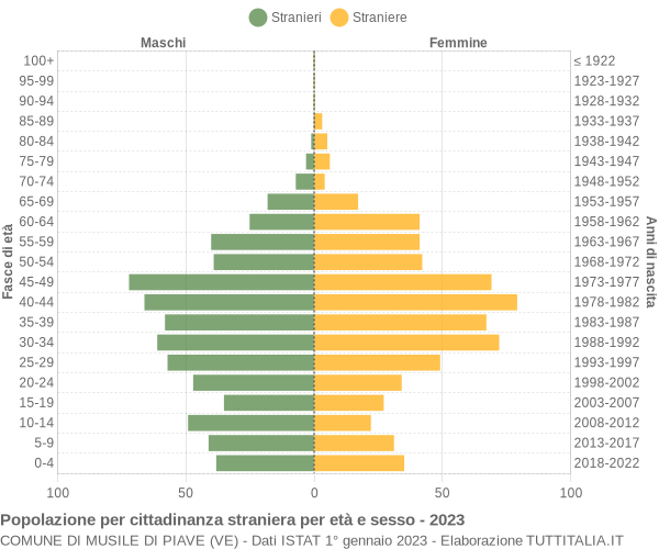 Grafico cittadini stranieri - Musile di Piave 2023