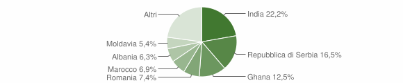Grafico cittadinanza stranieri - Valdagno 2015