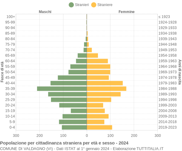 Grafico cittadini stranieri - Valdagno 2024