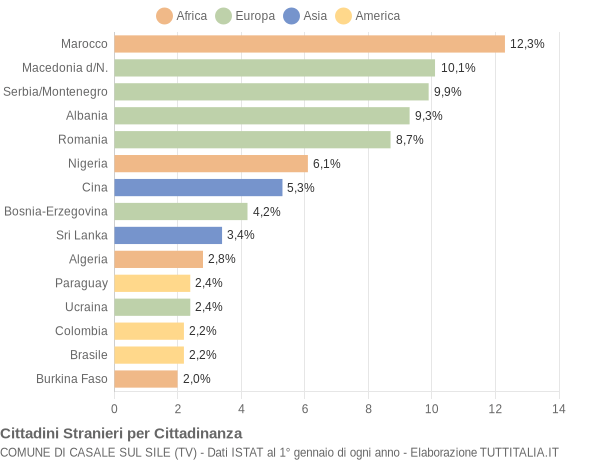 Grafico cittadinanza stranieri - Casale sul Sile 2007