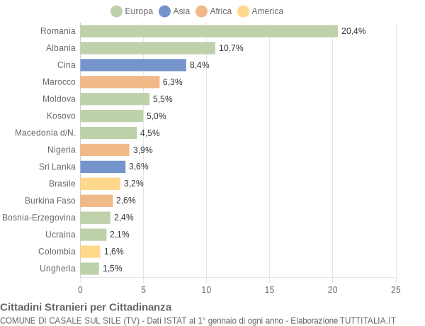 Grafico cittadinanza stranieri - Casale sul Sile 2022