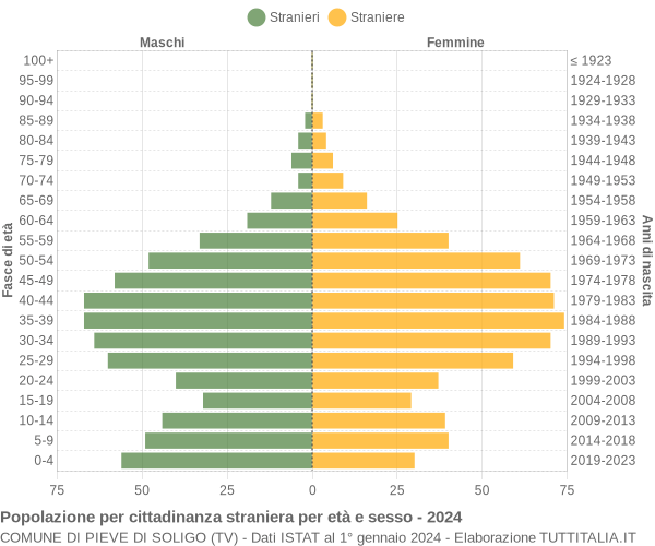 Grafico cittadini stranieri - Pieve di Soligo 2024