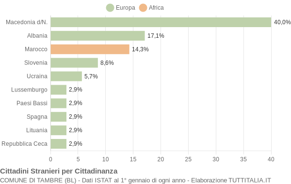 Grafico cittadinanza stranieri - Tambre 2008