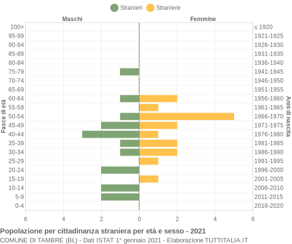 Grafico cittadini stranieri - Tambre 2021