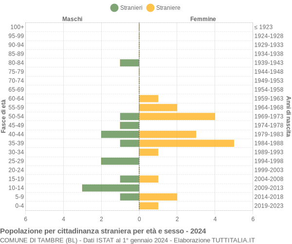 Grafico cittadini stranieri - Tambre 2024