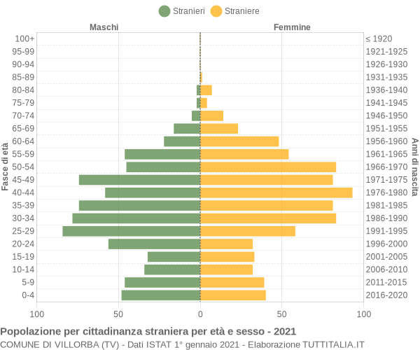 Grafico cittadini stranieri - Villorba 2021