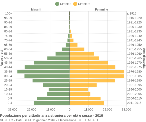 Grafico cittadini stranieri - 2016