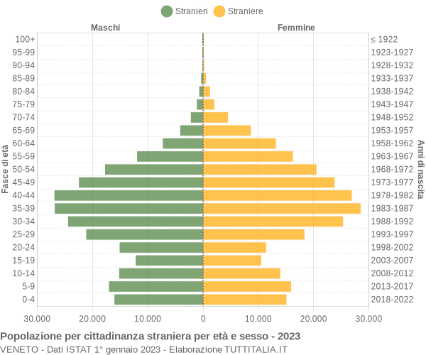 Grafico cittadini stranieri - 2023