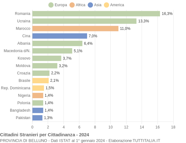 Grafico cittadinanza stranieri - 2024