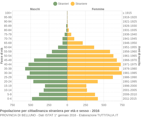 Grafico cittadini stranieri - 2016