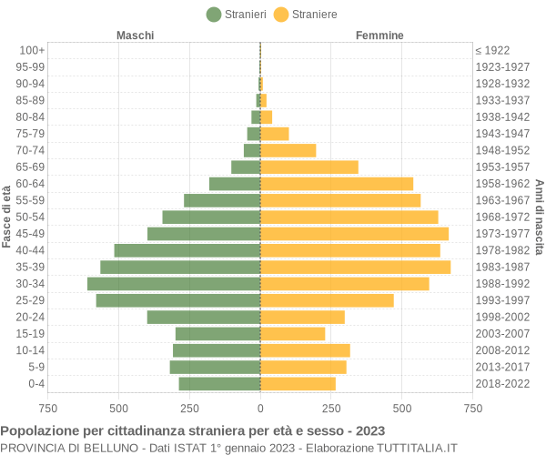 Grafico cittadini stranieri - 2023