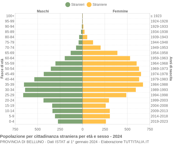 Grafico cittadini stranieri - 2024