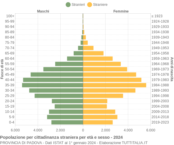 Grafico cittadini stranieri - 2024