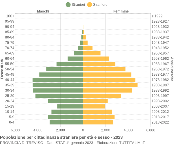 Grafico cittadini stranieri - 2023