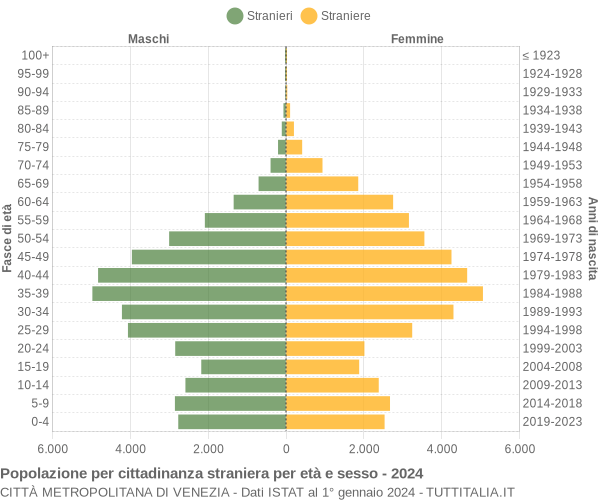 Grafico cittadini stranieri - 2024