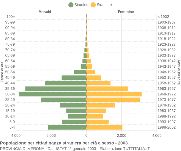 Grafico cittadini stranieri - 2003